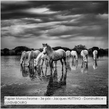 Papier Monochrome - 3e prix - Jacques HUTTING - Dominatrice - LUXEMBOURG.jpg