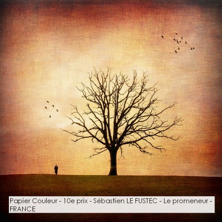Papier Couleur - 10e prix - Sébastien LE FUSTEC - Le promeneur - FRANCE.jpg