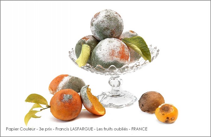 Papier Couleur - 3e prix - Francis LASFARGUE - Les fruits oubliés - FRANCE.jpg