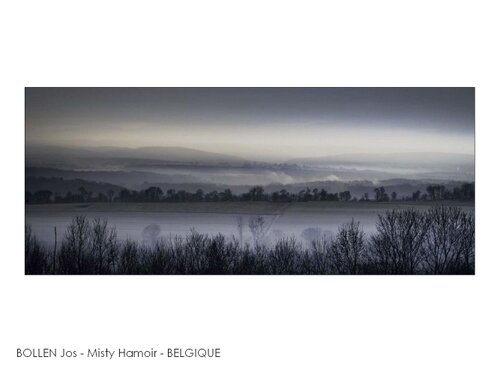 BOLLEN Jos - Misty Hamoir - BELGIQUE.jpg