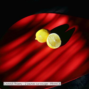 CAMUS Thierry - 2 jaunes sur rouge - FRANCE.jpg