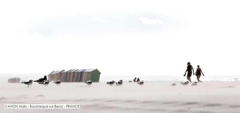 CANON Alain - Bourrasque sur Berck - FRANCE.jpg