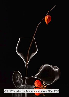 CANON Alain - Transparence - FRANCE.jpg