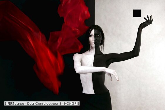 EIFERT János - Dual Consciousness 3 - HONGRIE.jpg