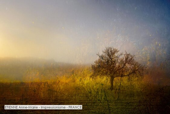 ETIENNE Anne-Marie - Impressionisme - FRANCE.jpg