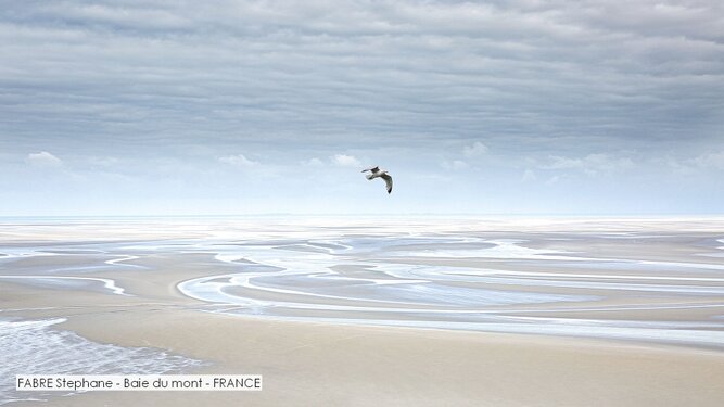 FABRE Stephane - Baie du mont - FRANCE.jpg