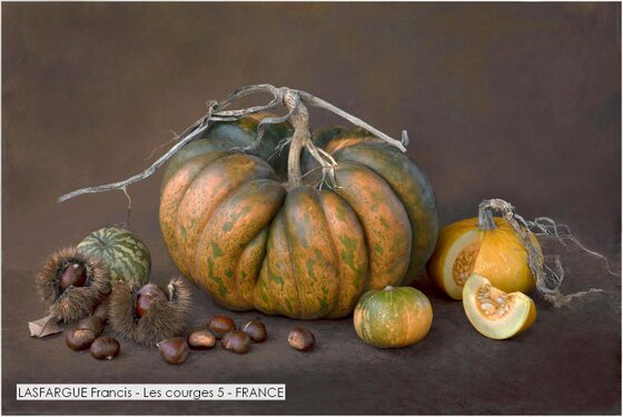 LASFARGUE Francis - Les courges 5 - FRANCE.jpg