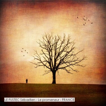 LE FUSTEC Sébastien - Le promeneur - FRANCE.jpg