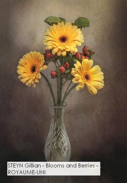 STEYN Gillian - Blooms and Berries - ROYAUME-UNI.jpg