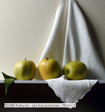 TEXIER François - Les trois pommes - FRANCE.jpg