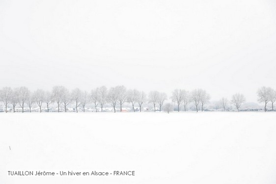 TUAILLON Jérôme - Un hiver en Alsace - FRANCE.jpg