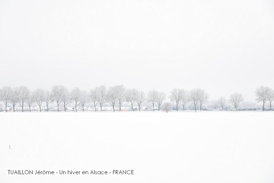 TUAILLON Jérôme - Un hiver en Alsace - FRANCE.jpg