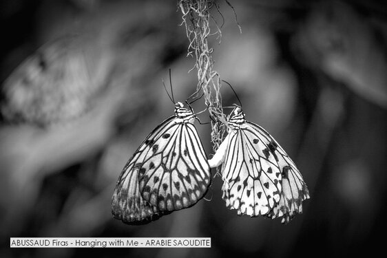 ABUSSAUD Firas - Hanging with Me - ARABIE SAOUDITE.jpg