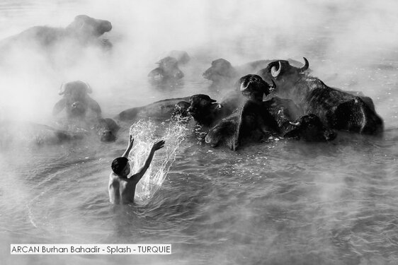 ARCAN Burhan Bahadir - Splash - TURQUIE.jpg