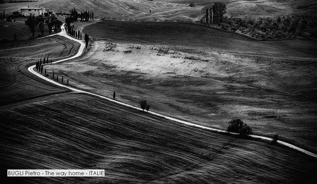 BUGLI Pietro - The way home - ITALIE.jpg