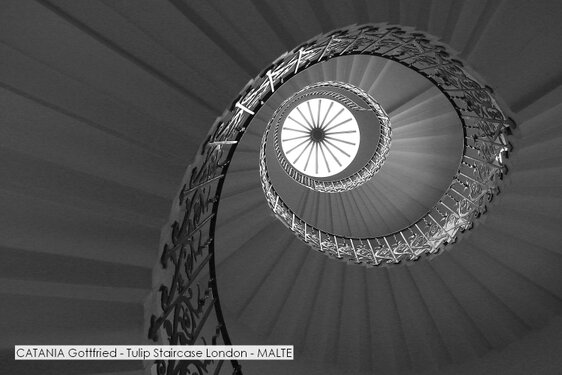 CATANIA Gottfried - Tulip Staircase London - MALTE.jpg