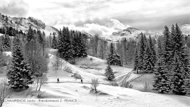 CHAMPENOIS Jacky - Randonneurs 2 - FRANCE.jpg