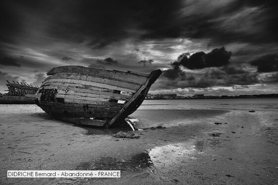 DIDRICHE Bernard - Abandonné - FRANCE.jpg