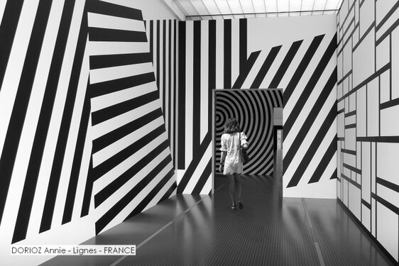 DORIOZ Annie - Lignes - FRANCE.jpg