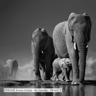 ETIENNE Anne-Marie - En famille - FRANCE.jpg