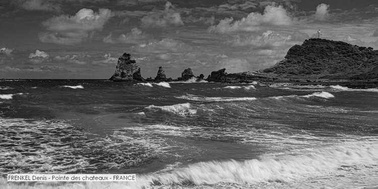 FRENKEL Denis - Pointe des chateaux - FRANCE.jpg