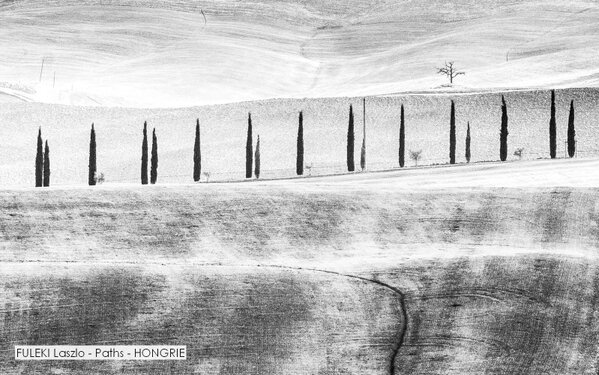 FULEKI Laszlo - Paths - HONGRIE.jpg