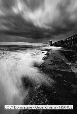 JOLY Dominique - Grain à venir - FRANCE.jpg