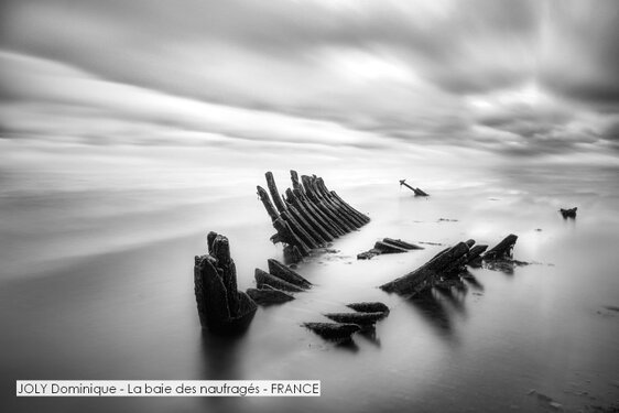 JOLY Dominique - La baie des naufragés - FRANCE.jpg