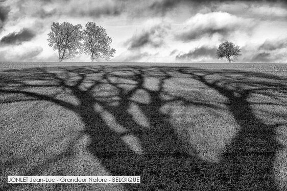 JONLET Jean-Luc - Grandeur Nature - BELGIQUE.jpg