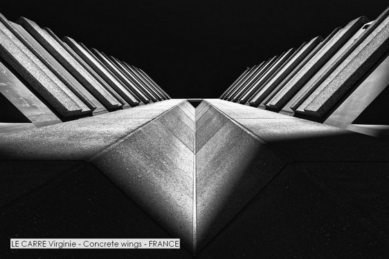 LE CARRE Virginie - Concrete wings - FRANCE.jpg