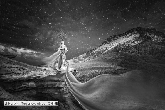 LI Hanxin - The snow elves - CHINE.jpg
