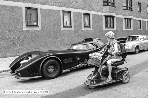 LINDH Barbro - Vehicles - SUEDE.jpg