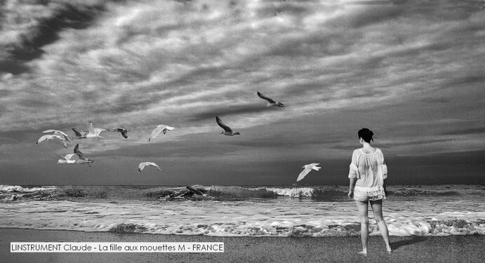LINSTRUMENT Claude - La fille aux mouettes M - FRANCE.jpg