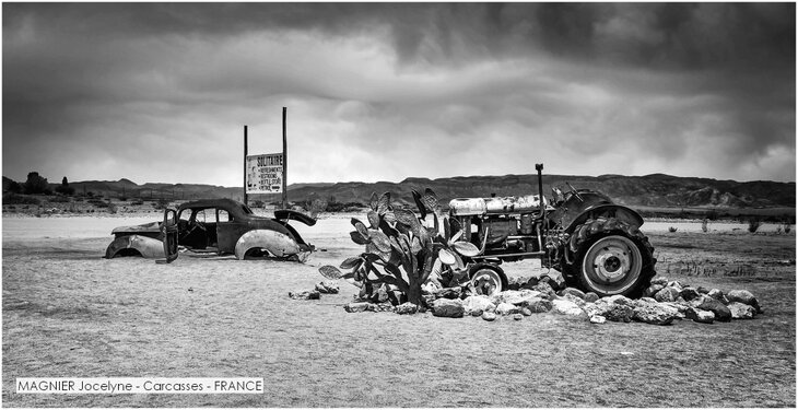 MAGNIER Jocelyne - Carcasses - FRANCE.jpg