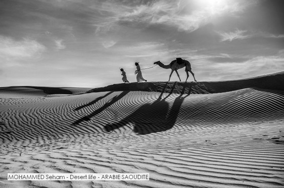 MOHAMMED Seham - Desert life - ARABIE SAOUDITE.jpg