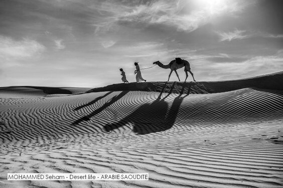 MOHAMMED Seham - Desert life - ARABIE SAOUDITE.jpg