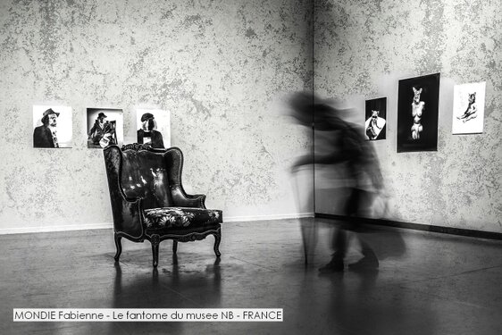 MONDIE Fabienne - Le fantome du musee NB - FRANCE.jpg