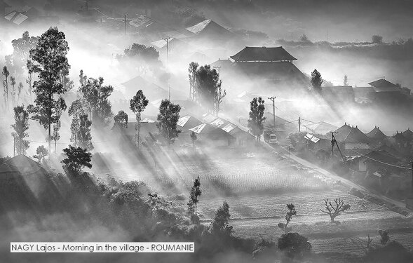 NAGY Lajos - Morning in the village - ROUMANIE.jpg
