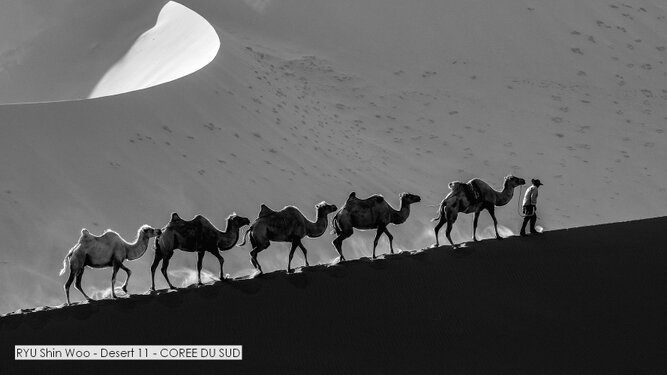 RYU Shin Woo - Desert 11 - COREE DU SUD.jpg