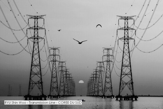 RYU Shin Woo - Transmission Line - COREE DU SUD.jpg