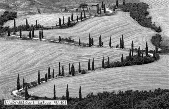 SAMOYAULT Guy B. - La Foce - FRANCE.jpg