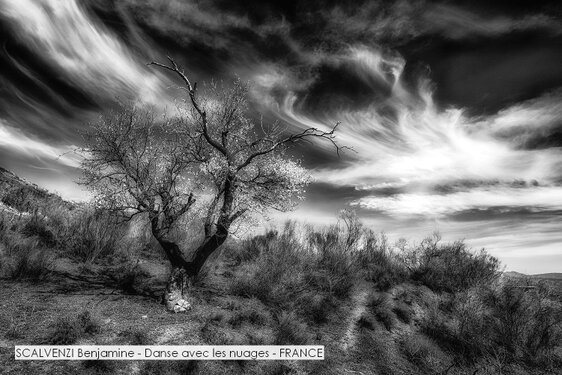 SCALVENZI Benjamine - Danse avec les nuages - FRANCE.jpg