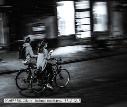SCHEPPERS Olivier - Balade nocturne. - BELGIQUE.jpg