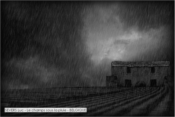 SEVERS Luc - Le champs sous la pluie - BELGIQUE.jpg