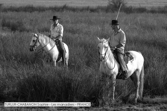 TURLUR-CHABANON Sophie - Les manadiers - FRANCE.jpg