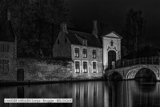 VANDER MEULEN Sonja - Brugge - BELGIQUE.jpg