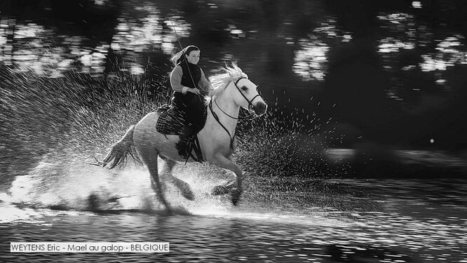 WEYTENS Eric - Mael au galop - BELGIQUE.jpg