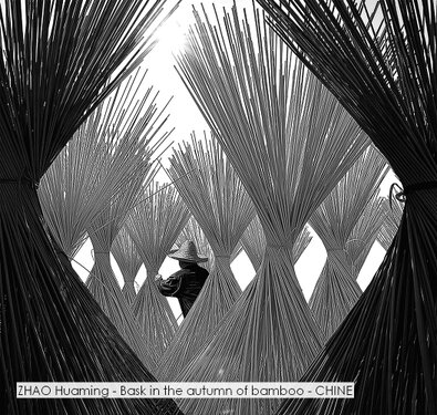 ZHAO Huaming - Bask in the autumn of bamboo - CHINE.jpg