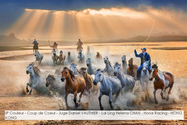IP Couleur - Coup de Coeur - Juge Daniel VAUTHIER - Lai Ling Helena CHAN - Horse Racing - HONG KONG.jpg