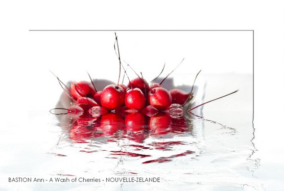 BASTION Ann - A Wash of Cherries - NOUVELLE-ZELANDE.jpg